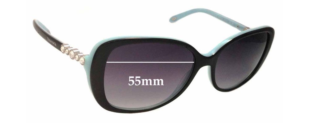 Co TF 4121-B Replacement Lenses 55mm 